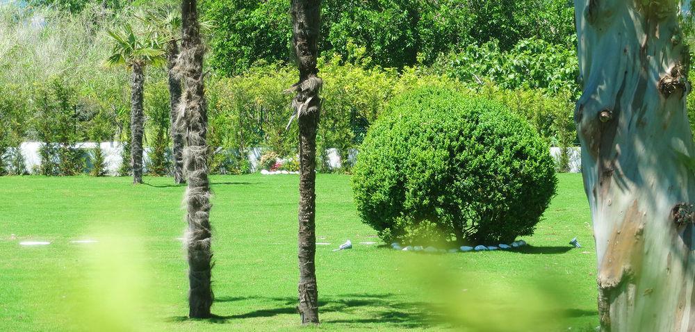 Ispani Hotel Eden Park Cilento מראה חיצוני תמונה